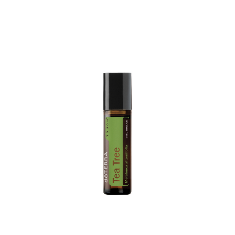 doTERRA Tea Tree (Melaleuca) Touch in 10 ml roll-on bottle