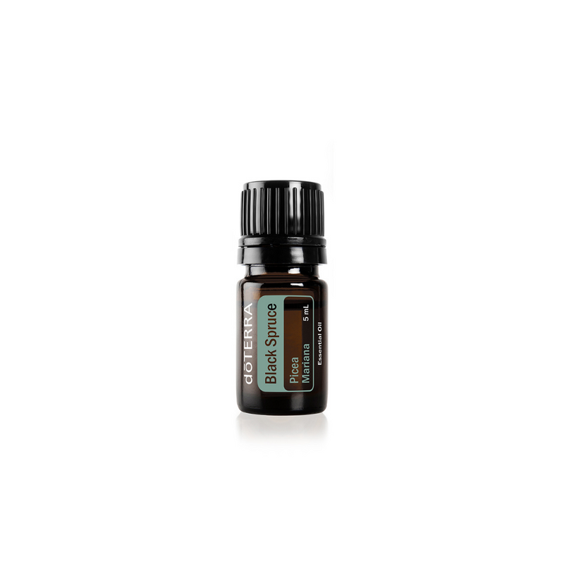 doTERRA Black Spruce Pure Essential Oil in 5 ml bottle