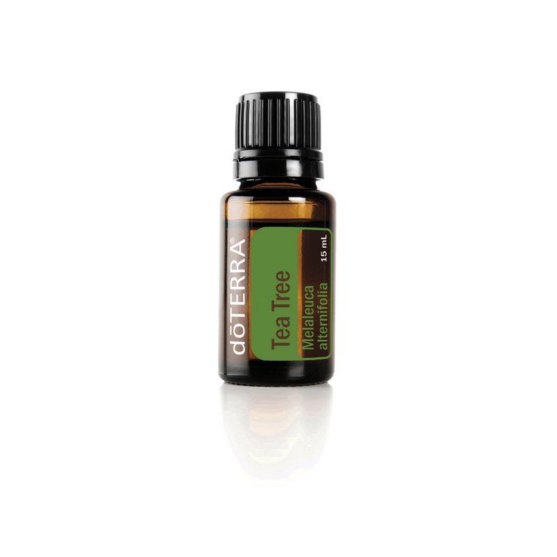 doTERRA Tea Tree (Melaleuca) Pure Essential Oil in 15 ml bottle